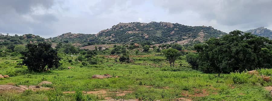 ಮಾಗಡಿ ತಾಲ್ಲೂಕಿನ ಜೇನುಕಲ್ಲು ಬೆಟ್ಟ ಪ್ರಜಾವಾಣಿ ಚಿತ್ರ: ದೊಡ್ಡಬಾಣಗೆರೆ ಮಾರಣ್ಣ