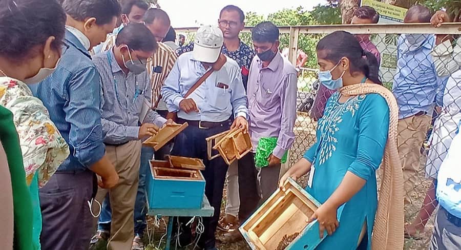 ರಾಯಚೂರು ಕೃಷಿ ವಿಜ್ಞಾನ ಕೇಂದ್ರದಲ್ಲಿ 'ಮಧುವನ ಮತ್ತು ಜೇನು ಸಾಕಾಣಿಕೆ ಅಭಿವೃದ್ಧಿ ಯೋಜನೆ ಅಡಿಯಲ್ಲಿ” ‘ವೈಜ್ಞಾನಿಕ ಜೇನು ಸಾಕಾಣಿಕೆ’ ಕುರಿತು ಒಳಆವರಣ ತರಬೇತಿ ಗುರುವಾರ ನಡೆಯಿತು