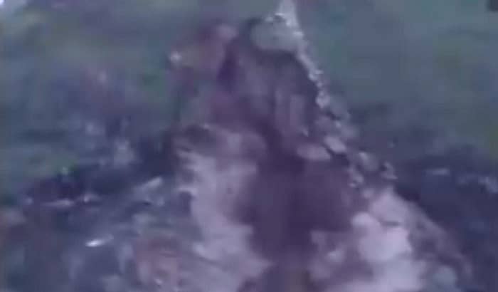 ಚಿತ್ರ ಕೃಪೆ: ಎಎನ್ಐ ಟ್ವಿಟರ್