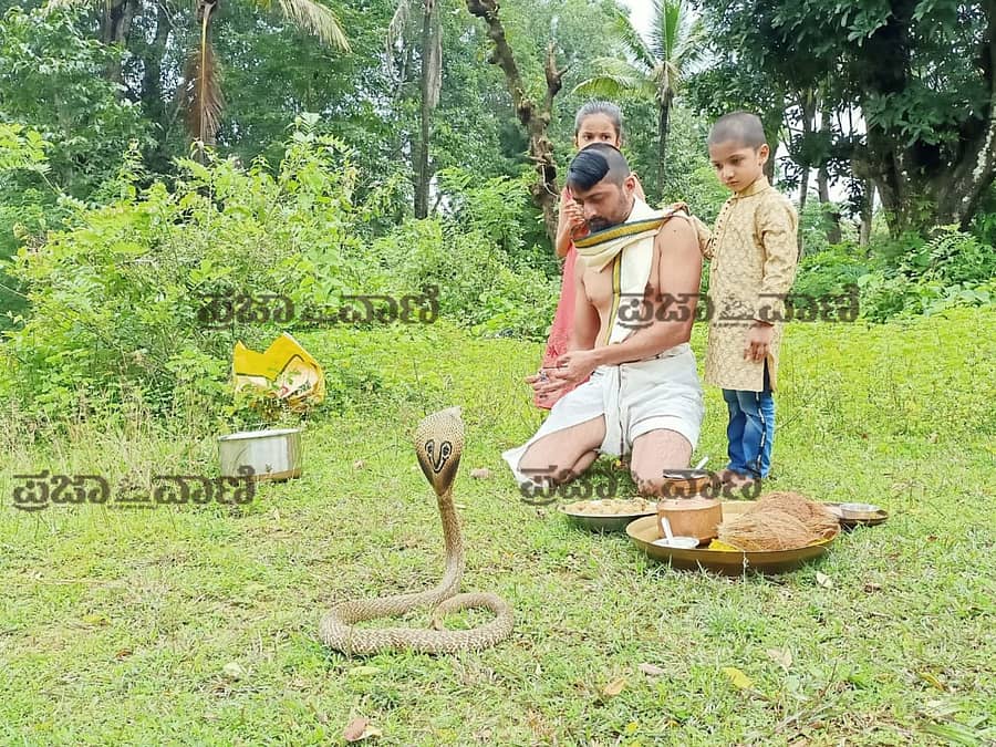 ಜೀವಂತ ನಾಗರಹಾವಿಗೆ ಪೂಜೆ ಸಲ್ಲಿಸಿ ನಾಗರ ಪಂಚಮಿ ಆಚರಣೆ - ಪ್ರಜಾವಾಣಿ ಚಿತ್ರ