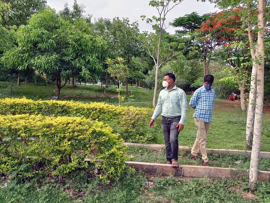 ಲಿಂಗಸುಗೂರು ತಾಲ್ಲೂಕು ಸುಕ್ಷೇತ್ರ ಗುರುಗುಂಟಾ ಅಮರೇಶ್ವರ ದೇವಸ್ಥಾನದ ಬಳಿಯ ದೈವಿವನದ ನಿರ್ವಹಣೆ ಮತ್ತು ಮೇಲುಸ್ತುವಾರಿ ನೋಡಿಕೊಳ್ಳುತ್ತಿರುವ ಅರಣ್ಯ ಸಿಬ್ಬಂದಿ