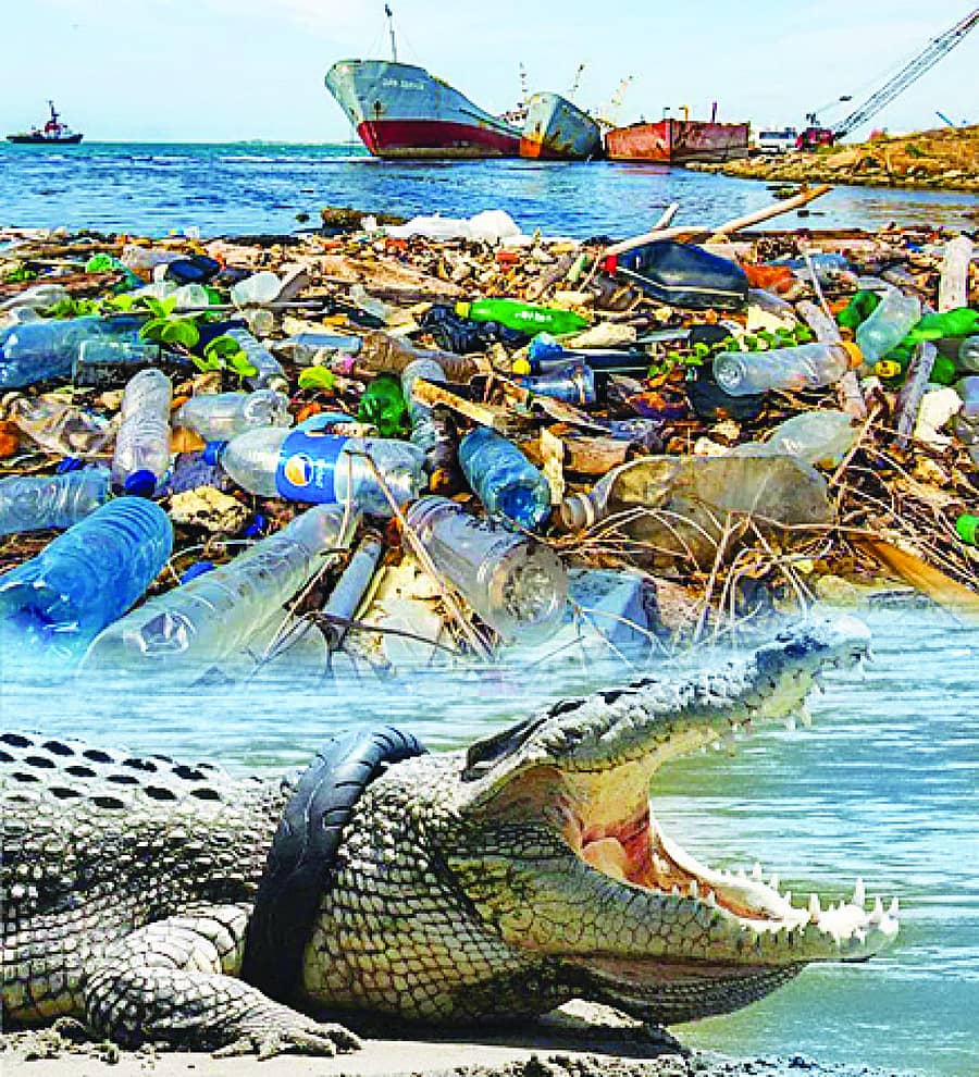 ಸಾಂದರ್ಭಿಕ ಚಿತ್ರ