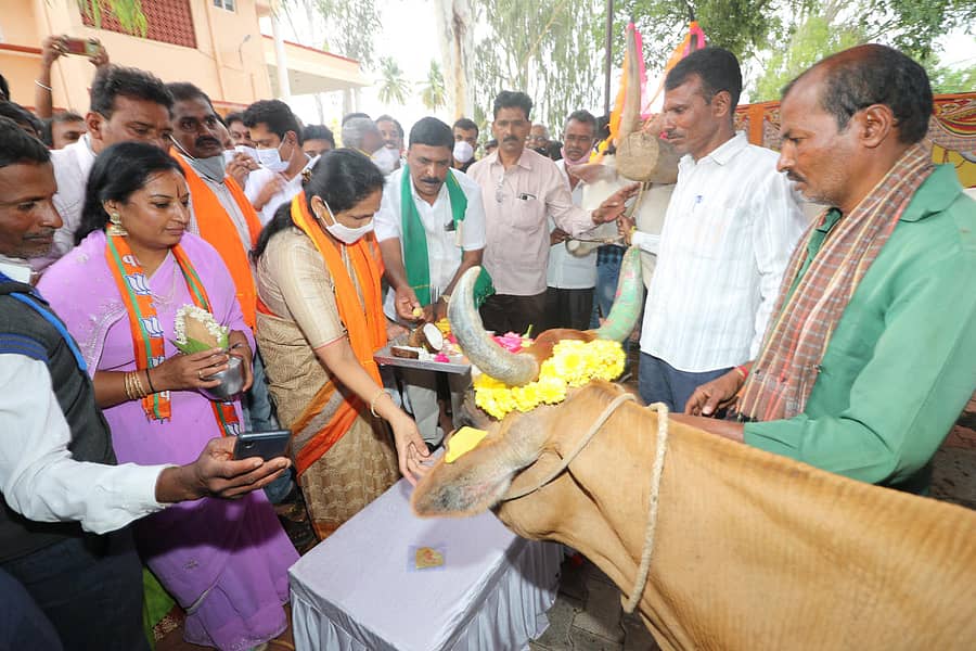 ಜನಾಶೀರ್ವಾದ ಯಾತ್ರೆಯಲ್ಲಿ ಪಾಲ್ಗೊಳ್ಳುವುದಕ್ಕೂ ಮುನ್ನ ಕೇಂದ್ರ ಕೃಷಿ ಹಾಗೂ ರೈತರ ಕಲ್ಯಾಣ ರಾಜ್ಯ ಖಾತೆ ಸಚಿವೆ ಶೋಭಾ ಕರಂದ್ಲಾಜೆ ಅವರು ಗೋಪೂಜೆ ನೆರವೇರಿಸಿದರು