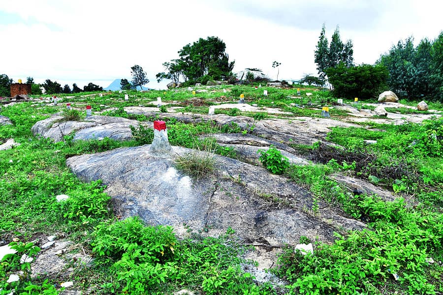 ಮರಸನಹಳ್ಳಿಯಲ್ಲಿ ಆಶ್ರಯ ಯೋಜನೆಯಡಿ ಫಲಾನುಭವಿಗಳಿಗೆ ನೀಡಿರುವ ನಿವೇಶನಗಳು