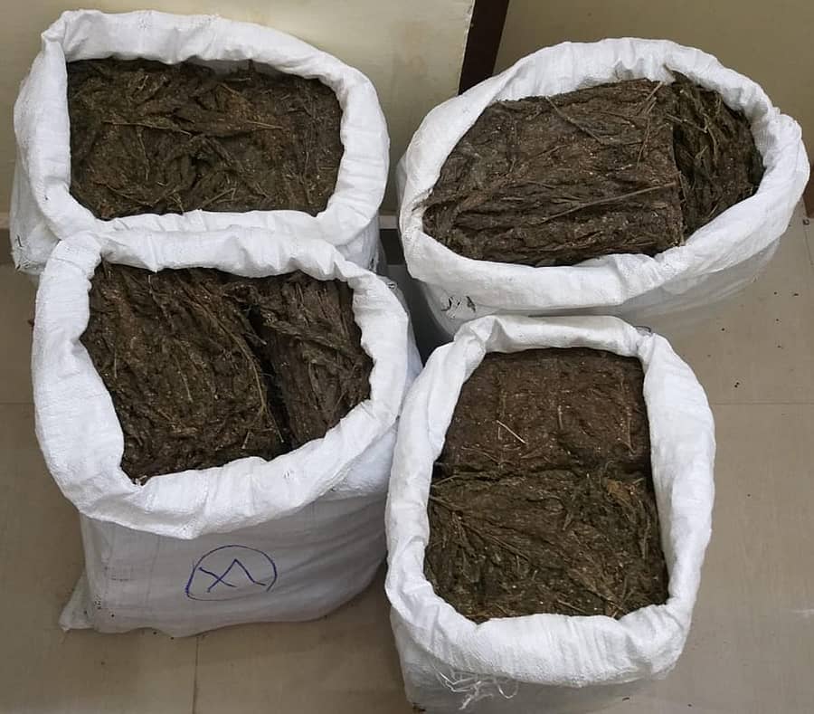 ಚಿಕ್ಕಮಗಳೂರಿನ ಸಿಇಎನ್ ಅಪರಾಧ ಠಾಣೆ ತಂಡ ವಶಪಡಿಸಿಕೊಂಡಿರುವ ಗಾಂಜಾ.