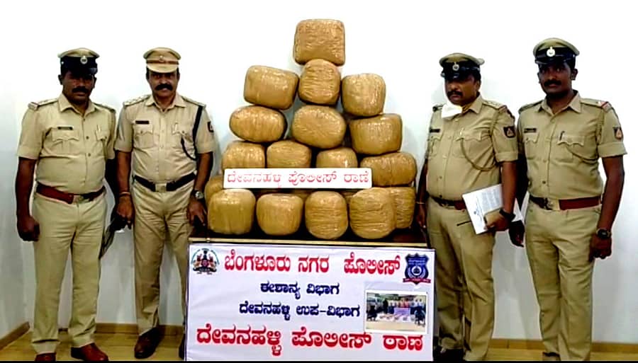 ದೇವನಹಳ್ಳಿಯ ನಂದಿಬೆಟ್ಟದ ರಸ್ತೆಯಲ್ಲಿ ಮಾರಾಟ ಮಾಡಲು ಯತ್ನಿಸಿದ ಅಕ್ರಮ ಗಾಂಜಾ ವಶಪಡಿಸಿಕೊಂಡಿರುವ ಪೊಲೀಸರು