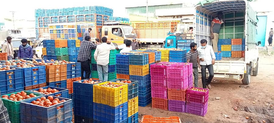 ಚಿಕ್ಕಬಳ್ಳಾಪುರ ಎಪಿಎಂಸಿಯಲ್ಲಿ ಟೊಮೆಟೊ ವಹಿವಾಟು