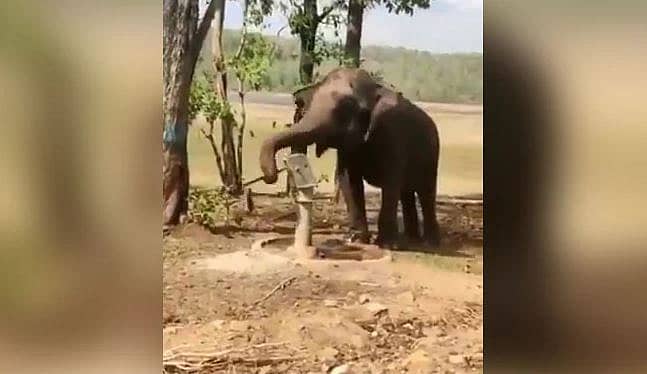 ಜಲಶಕ್ತಿ ಸಚಿವಾಲಯದ ಟ್ವಿಟರ್ ಖಾತೆಯ ವಿಡಿಯೊ ಸ್ಕ್ರೀನ್ ಗ್ರ್ಯಾಬ್