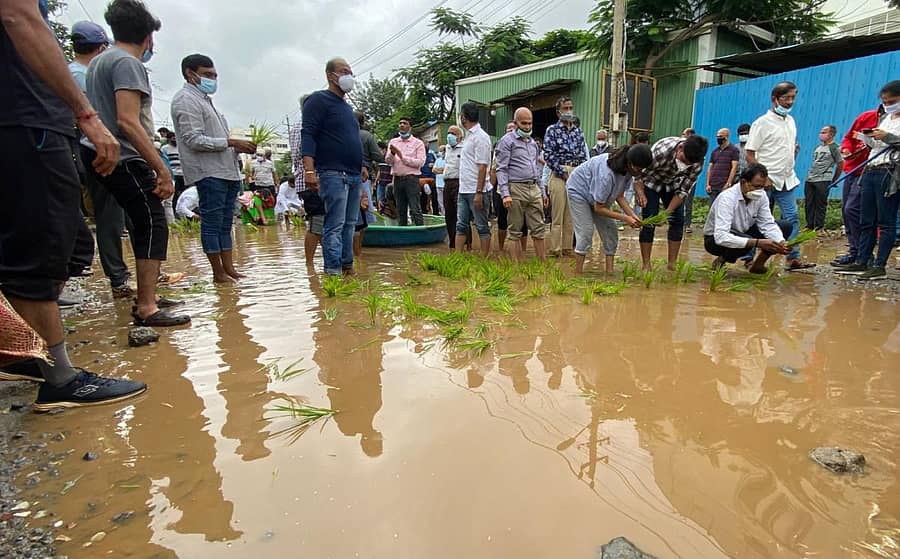 ರಸ್ತೆಯಲ್ಲಿನ ಹೊಂಡದಲ್ಲಿ ಭತ್ತದ ಸಸಿ ನಾಟಿ ಮಾಡುತ್ತಿರುವ ಸ್ಥಳೀಯರು