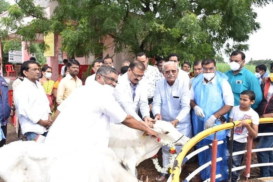 ವಿಜಯಪುರ ಭೂತನಾಳ ಕೆರೆಯ ಹತ್ತಿರದ ಗೋಶಾಲೆಯಲ್ಲಿ ಪಶು ಪಾಲನೆ ಮತ್ತು ಪಶುವೈದ್ಯಕೀಯ ಸೇವಾ ಇಲಾಖೆಯಿಂದ ಹಮ್ಮಿಕೊಳ್ಳಲಾಗಿದ್ದ ಆಕಳು ಮತ್ತು ಎಮ್ಮೆಗಳ ಹೆಣ್ಣು ಕರುಗಳ ರಾಷ್ಟ್ರೀಯ ಕಂದು ರೋಗ ನಿಯಂತ್ರಣ ಕಾರ್ಯಕ್ರಮವನ್ನು ಸಂಸದ ರಮೇಶ ಜಿಗಜಿಣಗಿ ಅವರು ಕರುವಿಗೆ ಪೂಜೆ ಸಲ್ಲಿಸುವ ಮೂಲಕ ಚಾಲನೆ ನೀಡಿದರು