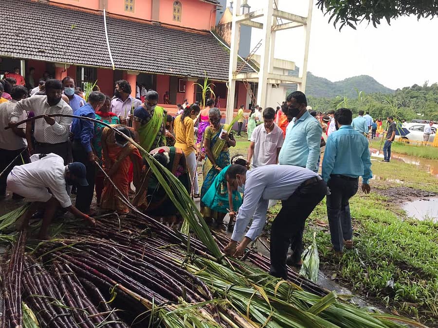 ವಿಟ್ಲ ಸಮೀಪದ ಸೂರಿಕುಮೇರು ಸೈಂಟ್ ಜೋಸೆಪ್ ಚರ್ಚ್ ನಲ್ಲಿ ಕೋವಿಡ್ ನಿಯಮ ಪಾಲಿಸಿಕೊಂಡು ಬಹಳ ಸರಳ ರೀತಿಯಲ್ಲಿ ತೆನೆ ಹಬ್ಬ ಆಚರಿಸಲಾಯಿತು. 