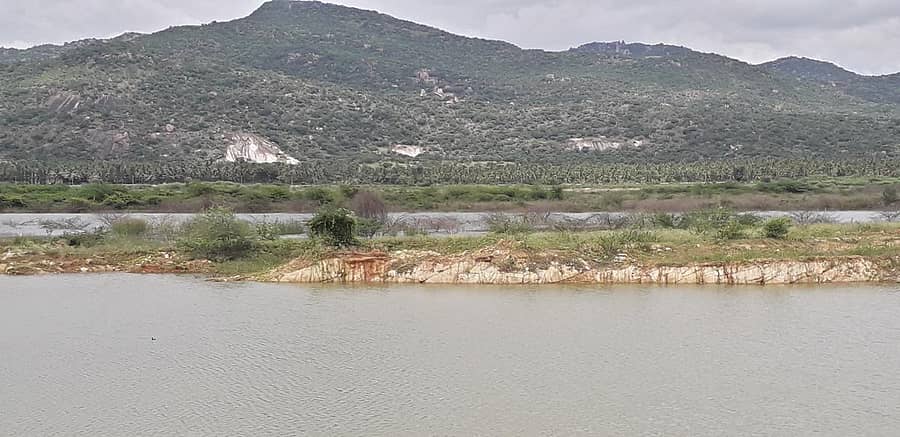 ಅರಸೀಕೆರೆ ನಗರ ಹೊರವಲಯದ ತಿಮ್ಮಪ್ಪನಾಯಕನ ಕೆರೆಯಲ್ಲಿ ನೀರಿನ ಪ್ರಮಾಣ ಕಡಿಮೆ ಆಗಿದೆ