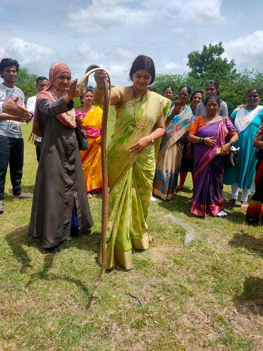 ರಾಯಚೂರಿನ ಮಲಿಯಾಬಾದ್ ಅರಣ್ಯ ಪ್ರದೇಶದಲ್ಲಿ ಫ್ರೆಂಡ್ಸ್ ವೈಲ್ಡ್ ಲೈಫ್ ಸೋಸೈಟಿಯವರು ಜಿಲ್ಲಾ ಕಾಂಗ್ರೆಸ್ ಮಹಿಳಾ ಘಟಕದ ಸದಸ್ಯೆಯರ ನೆರವಿನೊಂದಿಗೆ ಈಚೆಗೆ 65 ಹಾವುಗಳನ್ನು ಕಾಡಿಗೆ ಮರಳಿ ಸುರಕ್ಷಿತವಾಗಿ ಬಿಟ್ಟರು