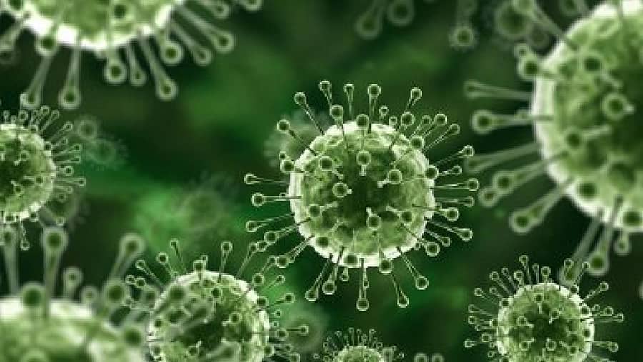 ವೈರಾಣು–ಪ್ರಾತಿನಿಧಿಕ ಚಿತ್ರ