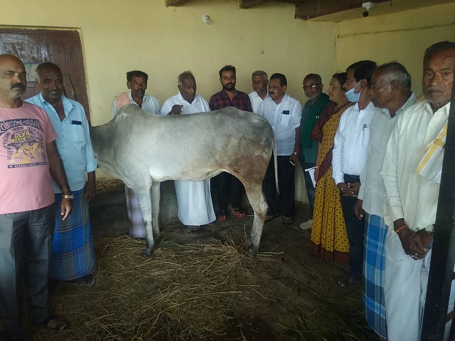 ಕೆರಗೋಡು ಸಮೀಪದ ಕೀಲಾರ ಗ್ರಾಮದ ರಾಸು ಕಳೆದುಕೊಂಡ ರೈತರ ಮನೆಗೆ ಭಾನುವಾರ ವಿಧಾನ ಪರಿಷತ್ ಸದಸ್ಯ ಕೆ.ಟಿ.ಶ್ರೀಕಂಠೇಗೌಡ ಭೇಟಿ ನೀಡಿದರು