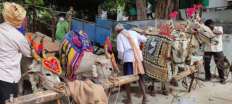 ಕಾಂಗ್ರೆಸ್ ಕಾರ್ಯಕರ್ತರು ತಂದಿದ್ದ ಎತ್ತಿನ ಬಂಡಿಗಳನ್ನು ಪೊಲೀಸರು ತಡೆದರು