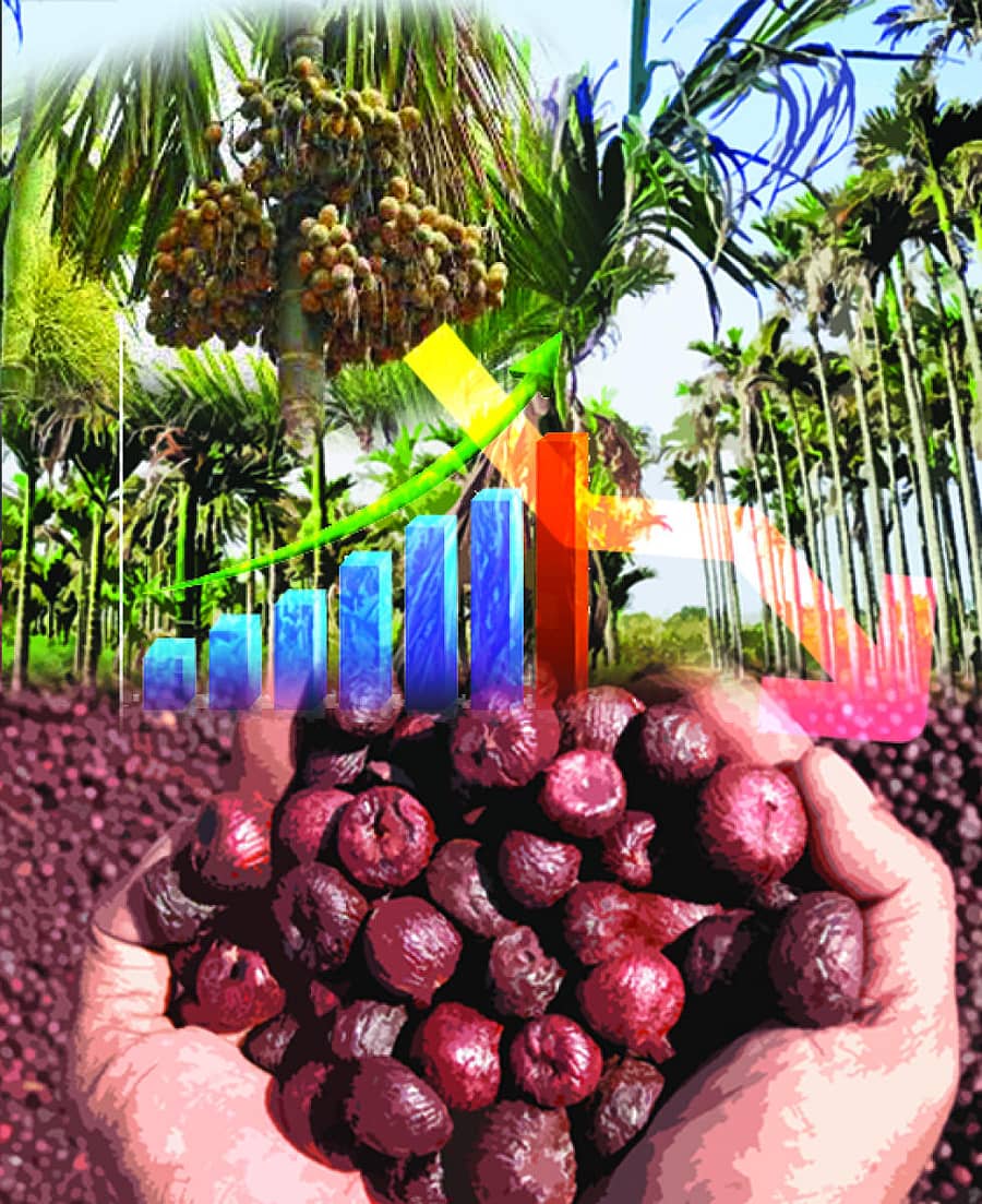 ಪ್ರಾತಿನಿಧಿಕ ಚಿತ್ರ