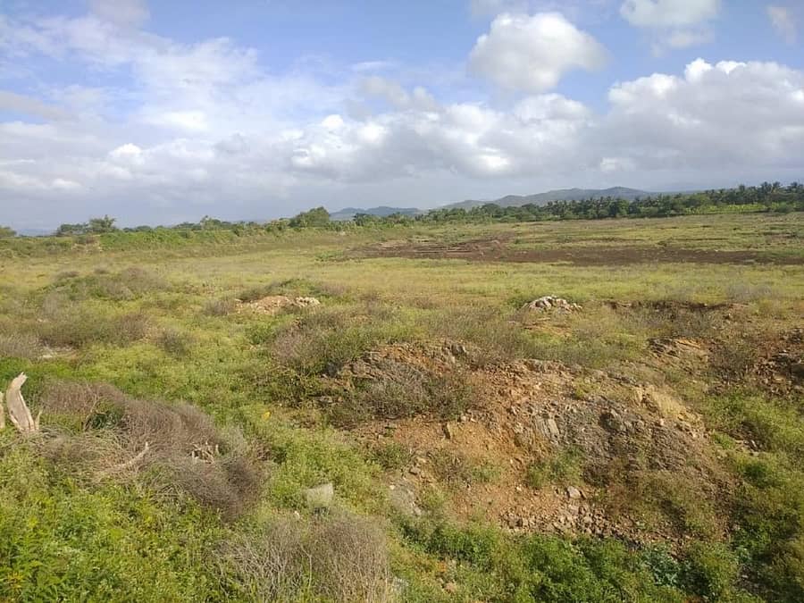 ಬರಿದಾಗಿರುವ ತಾಲ್ಲೂಕಿನ ಹಂಗಳ ಕೆರೆಯ ನೋಟ. ಗಿಡಗಂಟಿಗಳು ಬೆಳೆದು, ಹೂಳು ತುಂಬಿ ಕೆರೆ ಪಾಳು ಬಿದ್ದಿದೆ