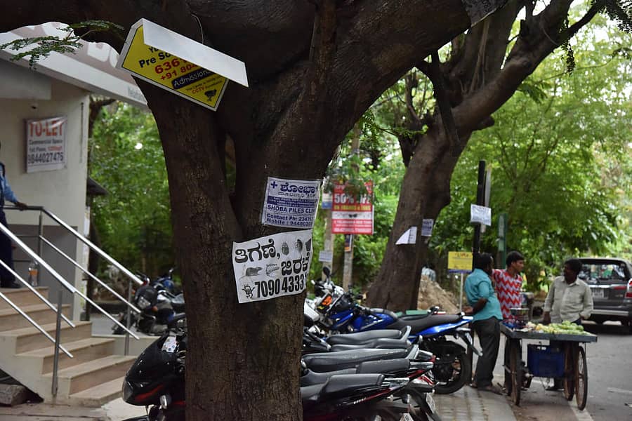 ಮರಗಳಲ್ಲಿ ಜಾಹೀರಾತುಗಳನ್ನು ಅಂಟಿಸಿರುವುದು