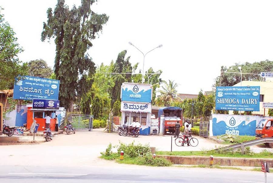 ಶಿವಮೊಗ್ಗ ಸಮೀಪದ ಮಾಚೇನಹಳ್ಳಿಯಲ್ಲಿರುವ ಶಿಮುಲ್ ಘಟಕ.