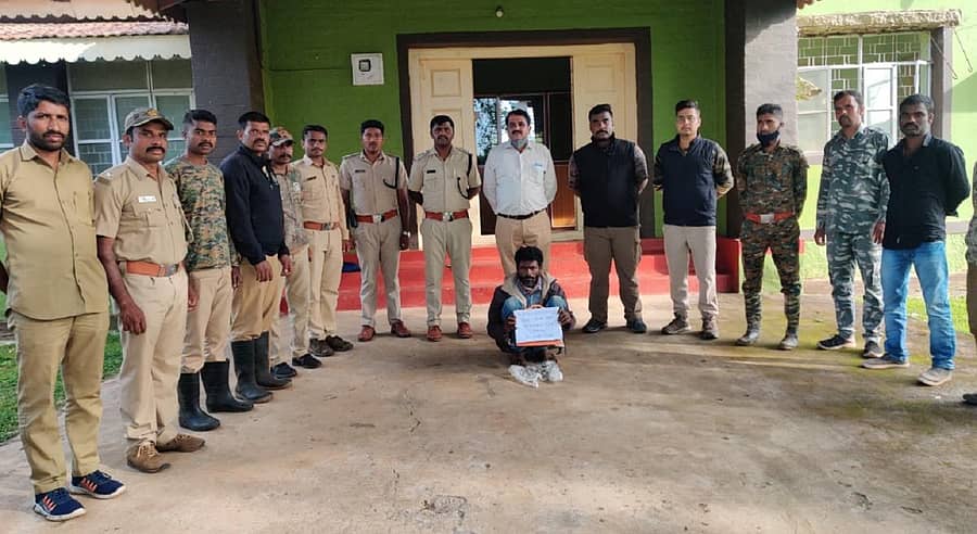 ಗಂಡುಹುಲಿ ಸಾವಿನ ಸಂಬಂಧ ಬಂಡೀಪುರ ಅರಣ್ಯ ಇಲಾಖೆ ಅಧಿಕಾರಿಗಳು ಹೊಸಹಳ್ಳಿ ಹಾಡಿಯ ಚಂದ್ರು ಎಂಬುವವರನ್ನು ಬಂಧಿಸಿರುವುದು