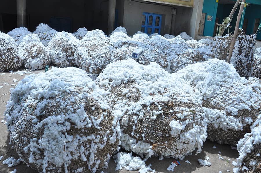 ಚಿತ್ರದುರ್ಗ ಎಪಿಎಂಸಿ ಮಾರುಕಟ್ಟೆಗೆ ಬಂದಿರುವ ಹತ್ತಿ