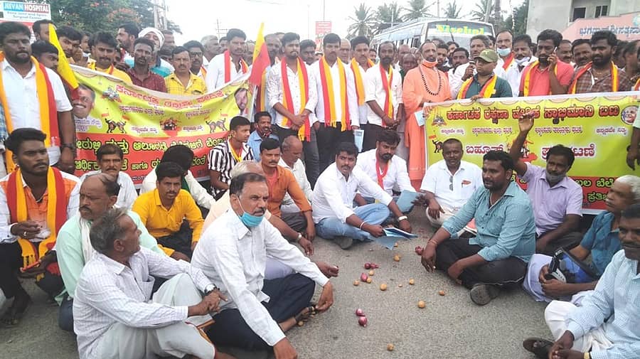 ಅಜ್ಜಂಪುರದ ಗಾಂಧಿ ವೃತ್ತದಲ್ಲಿ ರೈತರು ಈರುಳ್ಳಿಯನ್ನು ನೆಲಕ್ಕೆ ಸುರಿದು ಆಕ್ರೋಶ ವ್ಯಕ್ತಪಡಿಸಿದರು.