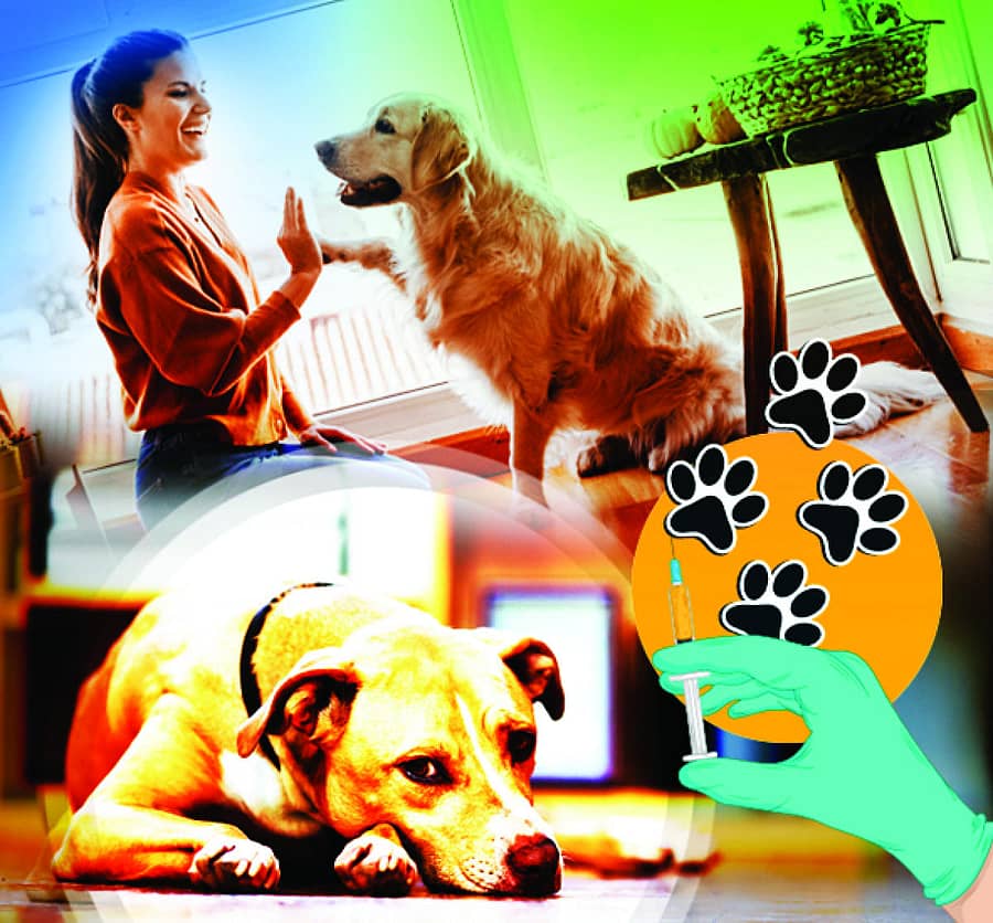 Sangata 28.09.2021 Resize.jpg