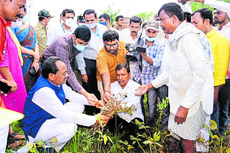 ಕಮಲನಗರ ತಾಲ್ಲೂಕಿನ ಸಂಗಮ ಗ್ರಾಮದ ಮಾಂಜ್ರಾ ನದಿಗೆ ಸಚಿವ ಪ್ರಭು ಚವಾಣ್ ಭೇಟಿ ನೀಡಿ ಪ್ರವಾಹ- ಬೆಳೆ ಹಾನಿ ವೀಕ್ಷಿಸಿದರು. ಪ್ರಕಾಶ ಖಂಡ್ರೆ, ಜೆಡಿ ತಾರಾಮಣಿ, ರಮೇಶ ಪೆದ್ದೇ ಇದ್ದರು