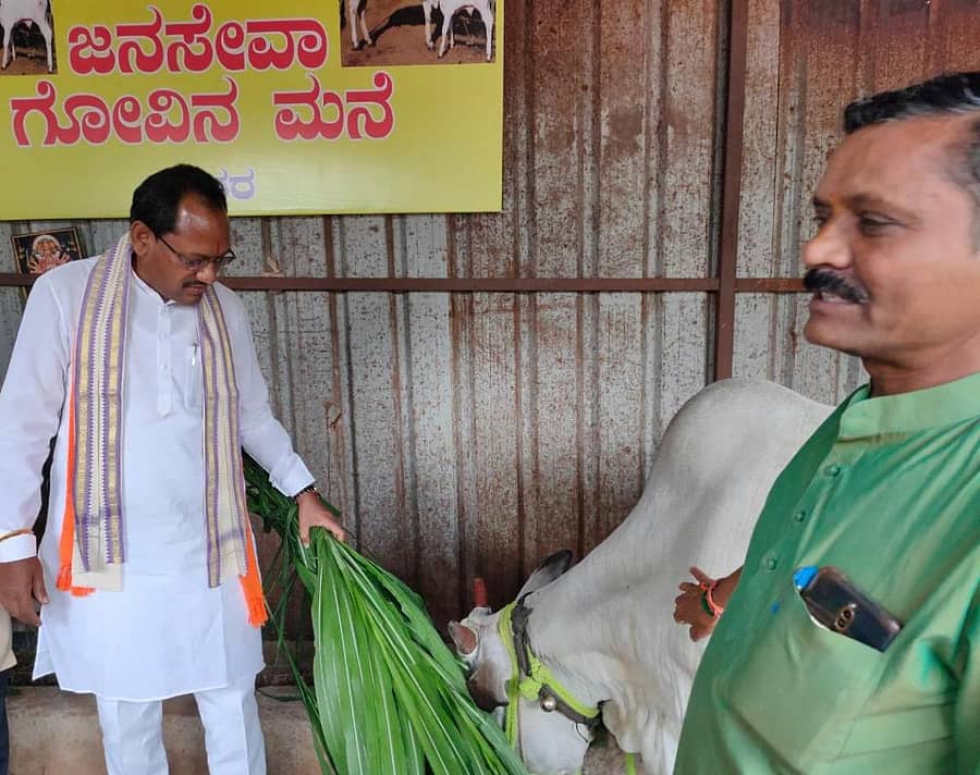 ಬೀದರ್‌ನ ಪ್ರತಾಪನಗರದ ಜನಸೇವಾ ಗೋವಿನ ಮನೆಗೆ ಭೇಟಿ ನೀಡಿದ ಜಿಲ್ಲಾ ಉಸ್ತುವಾರಿ ಸಚಿವ ಪ್ರಭು ಚವಾಣ್ ಅವರು ಗೋವಿಗೆ ಮೇವು ತಿನ್ನಿಸಿದರು. ರೇವಣಸಿದ್ದಪ್ಪ ಜಲಾದೆ ಇದ್ದಾರೆ