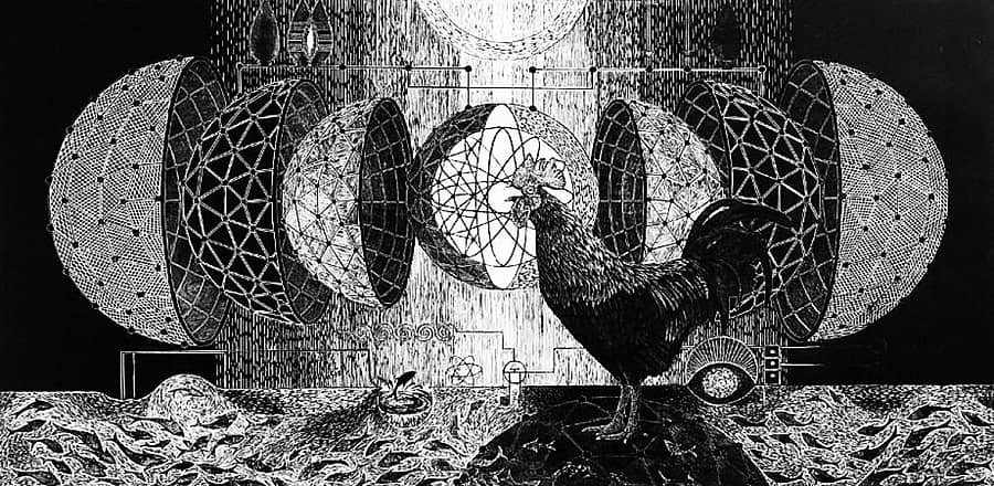 ಒಂದು ಕೋಳಿ ಮೊಟ್ಟೆಯ ಕಥೆ!