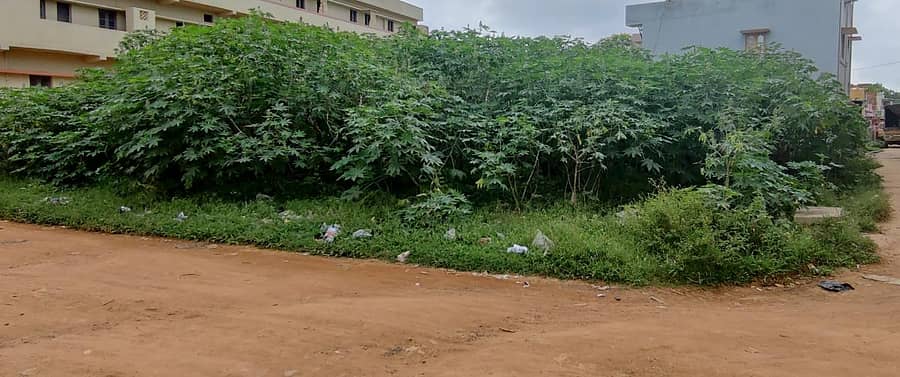 ಸೂಲಿಬೆಲೆಯ ಸರ್ವೆ ನಂಬರ್ 381ರಲ್ಲಿ ಒತ್ತುವರಿಯಾದ ಸರ್ಕಾರಿ ಕುಂಟೆ