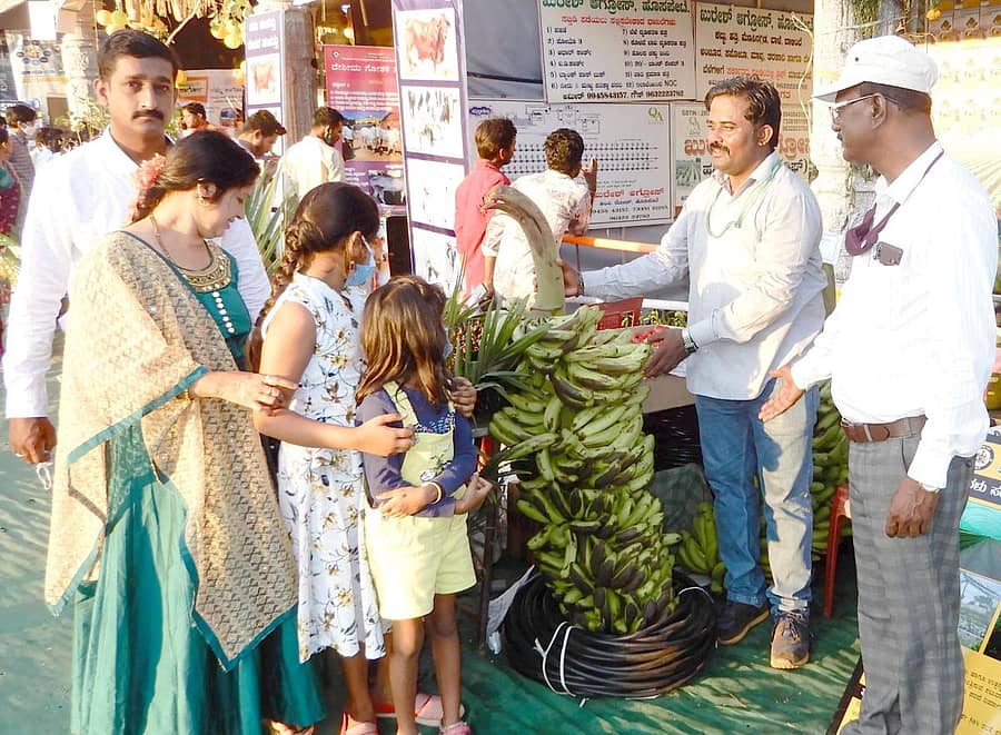ಮಳಿಗೆಯಲ್ಲಿ ಬಾಳೆಗೊನೆ ನೋಡುತ್ತಿರುವ ಸಾರ್ವಜನಿಕರು