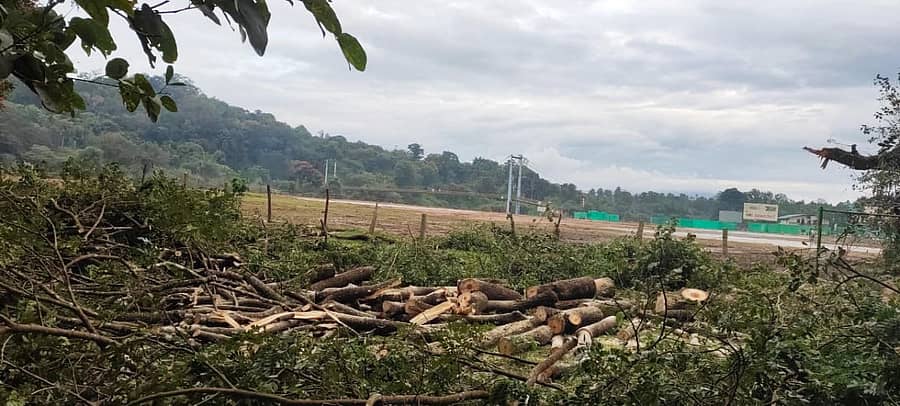 ಶೃಂಗೇರಿಯ ಗಾಂಧಿ ಮೈದಾನದಲ್ಲಿ ಹೆಲಿಪ್ಯಾಡ್ ಸಜ್ಜುಗೊಳಿಸಲು ಮೈದಾನದ ಬದಿಯ ಮರಗಳನ್ನು ಹನನ ಮಾಡಿರುವುದು.