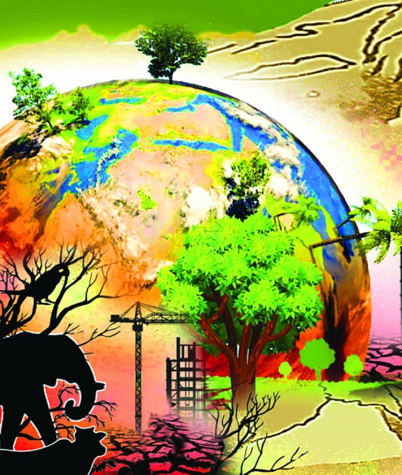 ಪ್ರಾತಿನಿಧಿಕ ಚಿತ್ರ 