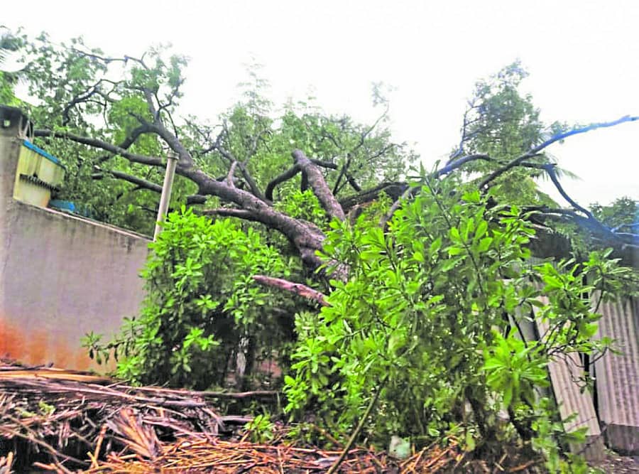 ಕೊಡಿಗೇನಹಳ್ಳಿ ಹೋಬಳಿ ದೊಡ್ಡಮಾಲೂರು ಗ್ರಾಮದ ಲಕ್ಷ್ಮೀದೇವಮ್ಮ ಅವರ ಮನೆ ಮೇಲೆ ಶುಕ್ರವಾರ ಹುಣಸೆ ಮರ ಉರುಳಿದೆ