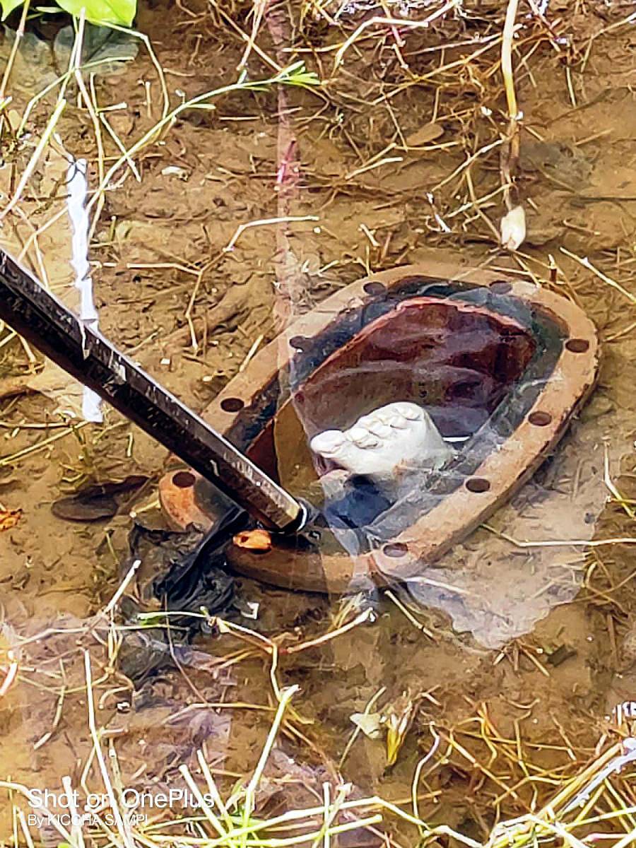 ಚನ್ನಪಟ್ಟಣದ ಮಾರುತಿ ಬಡಾವಣೆಯ ಓವರ್ಹೆಡ್ ಟ್ಯಾಂಕ್ನ ವಾಲ್ಟ್ನಲ್ಲಿ ಮೃತದೇಹದ ಕಾಲು ಕಾಣಿಸುತ್ತಿರುವುದು