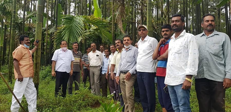 ಆಗುಂಬೆ ಹೋಬಳಿಯ ಎಲೆಚುಕ್ಕಿ ರೋಗ ತಗುಲಿದ ಅಡಿಕೆ ತೋಟವನ್ನು ಕೆಪಿಸಿಸಿ ವಕ್ತಾರ ಕಿಮ್ಮನೆ ರತ್ನಾಕರ ವೀಕ್ಷಿಸಿ, ರೈತರಿಂದ ಮಾಹಿತಿ ಪಡೆದರು