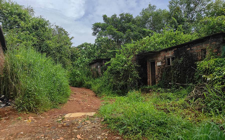 ಪಾಳುಬಿದ್ದಿರುವ ಆಶ್ರಯ ಮನೆ ಸಾಲು