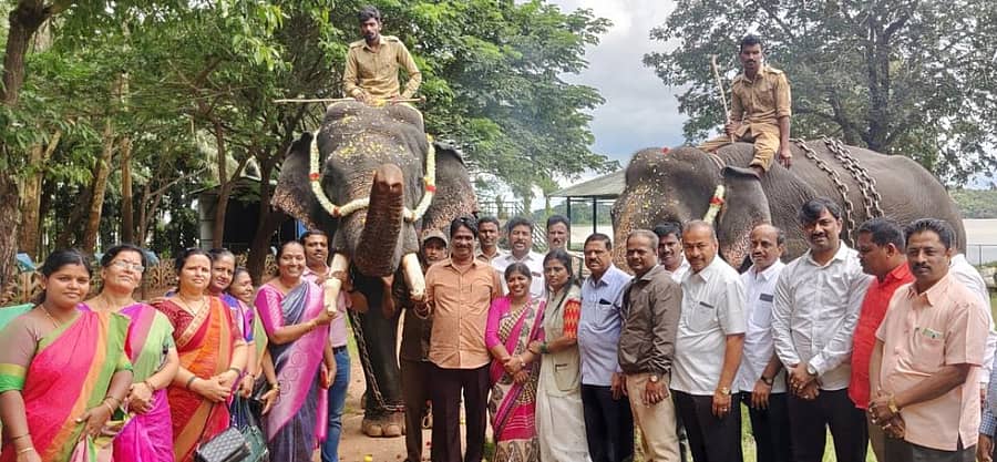 ಶಿವಮೊಗ್ಗ ನಗರ ಪಾಲಿಕೆ ಸದಸ್ಯರು, ಅಧಿಕಾರಿಗಳು ಮಂಗಳವಾರ ಸಕ್ರೆಬೈಲಿನ ಗಜ ಪಡೆಗಳನ್ನು ದಸರಾ ಜಂಬೂಸವಾರಿಗೆ ಸ್ವಾಗತಿಸಿದರು