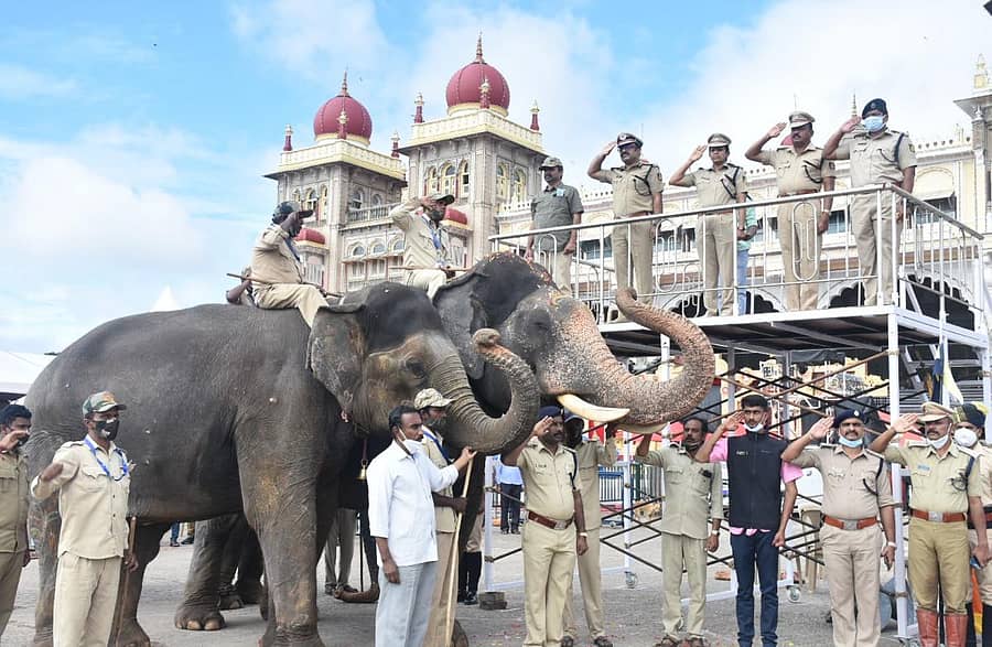 ಮೈಸೂರು ಅರಮನೆ ಆವರಣದಲ್ಲಿ ಬುಧವಾರ ಜಂಬೂಸವಾರಿ ಅಂತಿಮ ತಾಲೀಮಿನ ವೇಳೆ ನಗರ ಪೊಲೀಸ್‌ ಕಮಿಷನರ್‌ ಡಾ.ಚಂದ್ರಗುಪ್ತ ಅವರು ಅಭಿಮನ್ಯು ನೇತೃತ್ವದ ಗಜಪಡೆಗೆ ಪುಷ್ಪಾರ್ಚನೆ ಮಾಡಿ ವಂದಿಸಿದರು. ಡಿಸಿಎಫ್‌ ವಿ.ಕರಿಕಾಳನ್‌, ಡಿಸಿಪಿಗಳಾದ ಗೀತಾ ಪ್ರಸನ್ನ, ಶಿವರಾಮು, ಪ್ರದೀಪ್‌ ಗುಂಟಿ ಇದ್ದಾರೆ –ಪ್ರಜಾವಾಣಿ ಚಿತ್ರ
