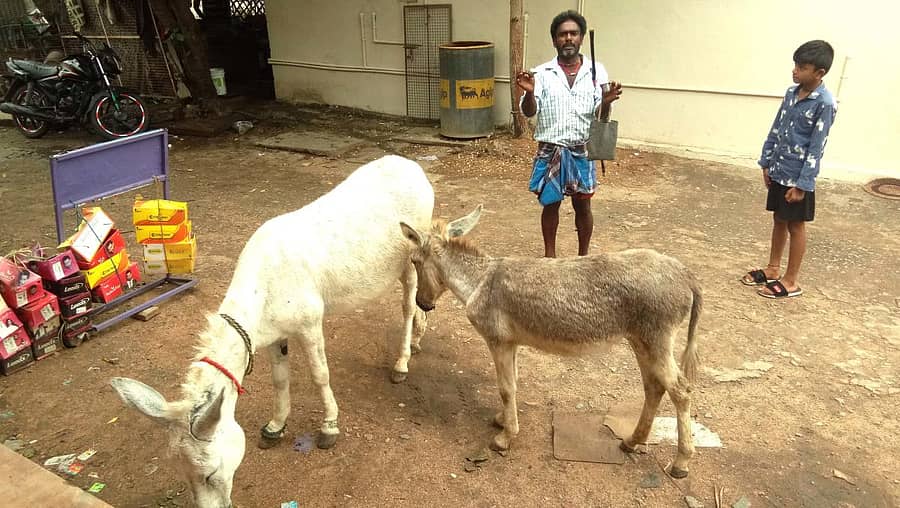 ಮೊಳಕಾಲ್ಮುರು ತಾಲ್ಲೂಕಿನ ಗ್ರಾಮವೊಂದಲ್ಲಿ ಕತ್ತೆ ಹಾಲು ಮಾರಾಟ ಮಾಡುತ್ತಿರುವ ಮಣಿ.