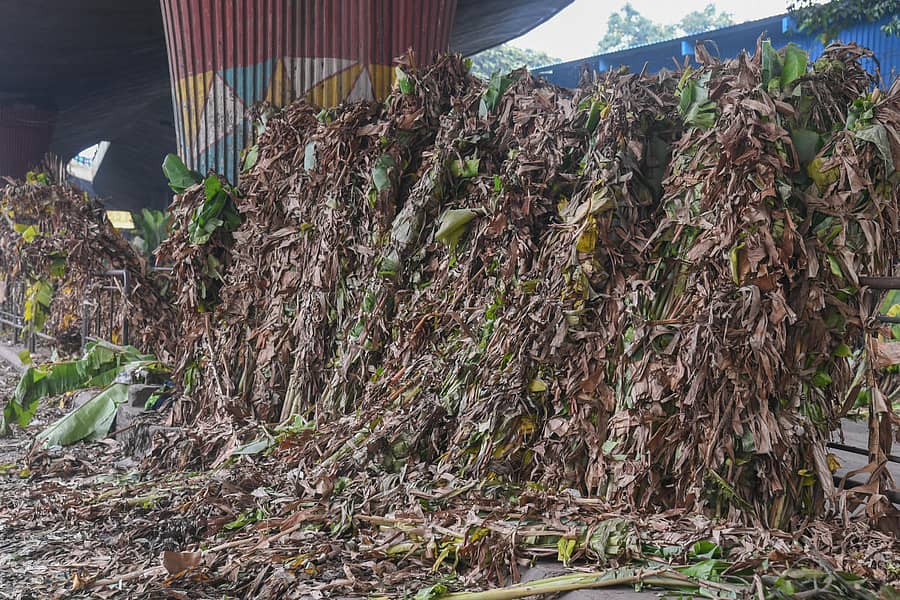 ಮಾರಾಟವಾಗದ ಬಾಳೆಗಿಡಗಳನ್ನು ವ್ಯಾಪಾರಿಗಳು ಕೆ.ಆರ್.ಮಾರುಕಟ್ಟೆಯಲ್ಲಿ ಬಳಿ ರಸ್ತೆ ಬದಿಯಲ್ಲೇ ರಾಶಿ ಹಾಕಿರುವುದು ಶನಿವಾರ ಕಂಡು ಬಂತು– ಪ್ರಜಾವಾಣಿ ಚಿತ್ರ