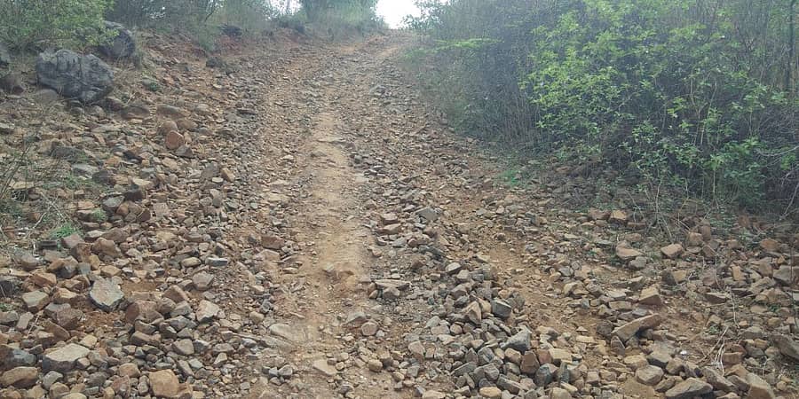 ಚಂಗಡಿ ಗ್ರಾಮಕ್ಕೆ ಹೋಗುವ ಕಲ್ಲುಗಳಿಂದ ಕೂಡಿದ ರಸ್ತೆಯ ನೋಟ