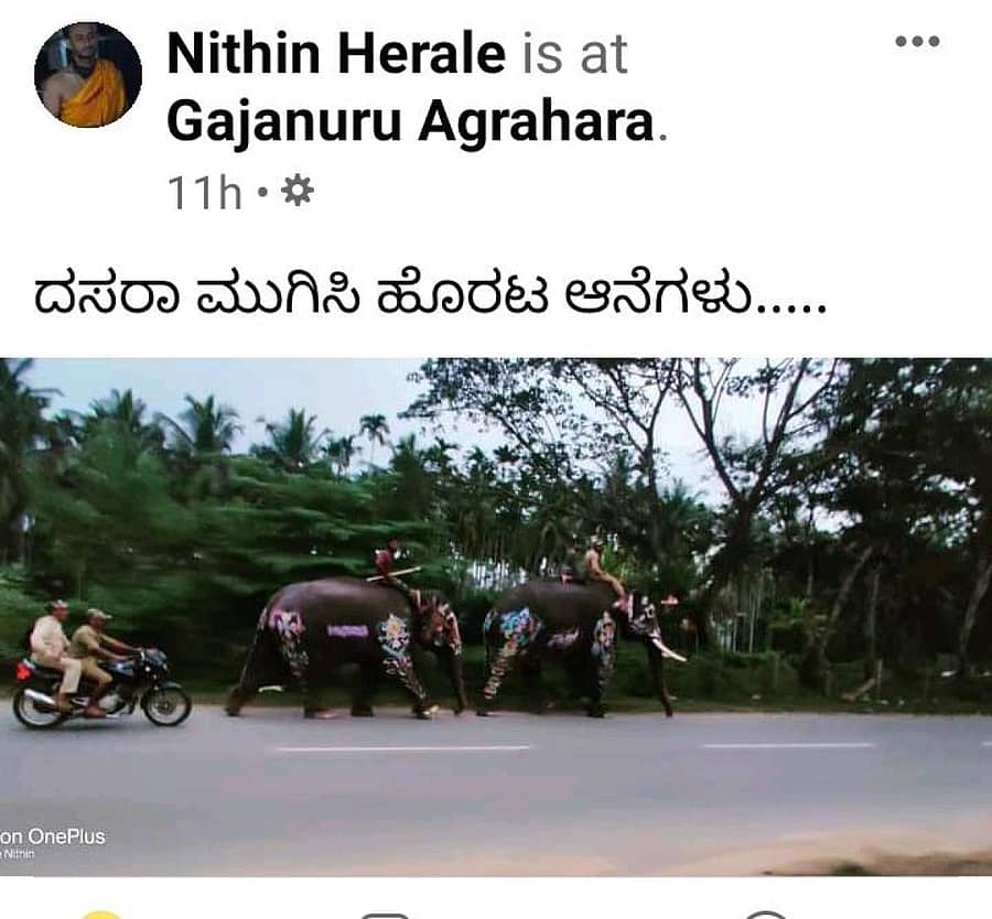 ಸಾಮಾಜಿಕ ಜಾಲತಾಣದಲ್ಲಿ ಹರಿದಾಡುತ್ತಿರುವ ಸಕ್ರೆಬೈಲಿನ ಆನೆಗಳ ಚಿತ್ರ