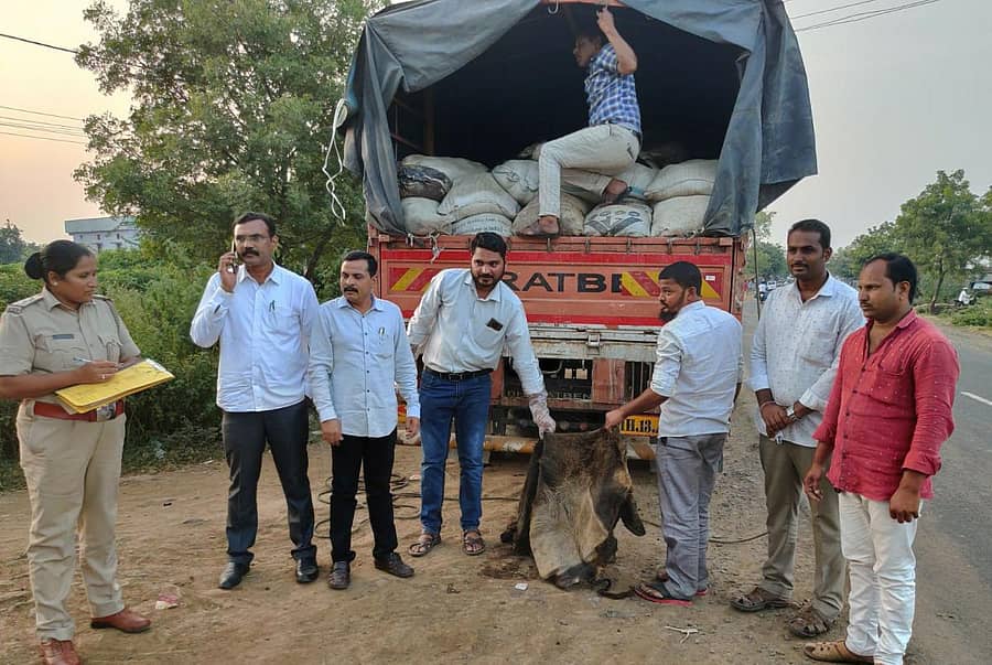 ಆಳಂದ ತಾಲ್ಲೂಕಿನ ಕಡಗಂಚಿ ಬಳಿ ವಶಕ್ಕೆ ಪಡೆದುಕೊಂಡ ಲಾರಿಯಲ್ಲಿದ್ದ ದನಗಳ ಚರ್ಮವನ್ನು ಪೊಲೀಸ್ ಸಿಬ್ಬಂದಿ ಪರಿಶೀಲಿಸಿದರು. ಪ್ರಾಣಿ ಕಲ್ಯಾಣ ಮಂಡಳಿ ಸದಸ್ಯ ಹುಣಚಿರಾಯ ಮೋಟಗಿ ಇದ್ದರು