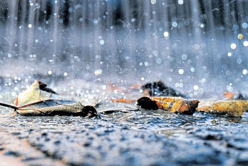 ಪ್ರಾತಿನಿಧಿಕ ಚಿತ್ರ