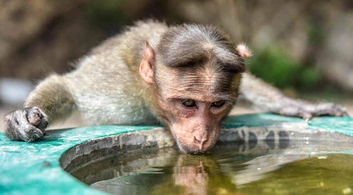 ಸಾಂದರ್ಭಿಕ ಚಿತ್ರ