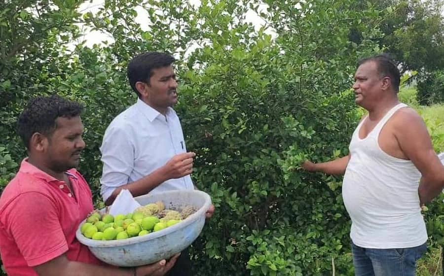 ಔರಾದ್‌ನ ಹಿಪ್ಪಳಗಾಂವ್ ರೈತ ಸಂತೋಷ ಪಾಟೀಲ ಹೊಲದಲ್ಲಿ ಬೆಳೆದ ಸೀತಾಫಲ ಬೆಳೆ ವೀಕ್ಷಿಸಿದ ಉಪ ವಲಯ ಅರಣ್ಯಾಧಿಕಾರಿ ರಾಜಶೇಖರ್ ರಾಮಪುರೆ