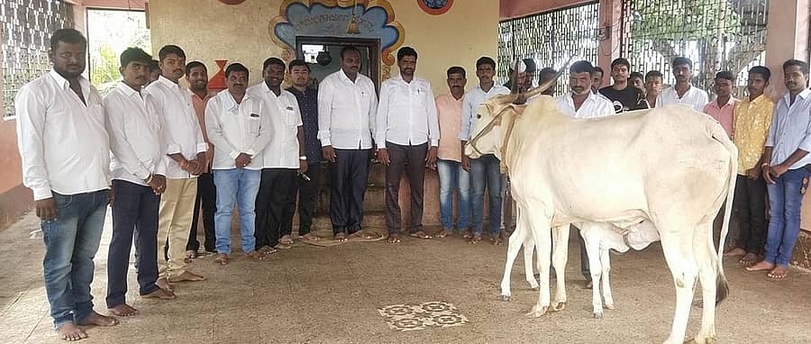 ಅಥಣಿ ತಾಲ್ಲೂಕಿನ ಸತ್ತಿ ಗ್ರಾಮದ ಮಲ್ಲಿಕಾರ್ಜುನ ದೇವಸ್ಥಾನದ ಆವರಣದಲ್ಲಿ ದೀಪಾವಳಿ ಹಬ್ಬದ ಅಂಗವಾಗಿ ಮುಖಂಡರು ಗೋವಿಗೆ ಪೂಜೆ ಸಲ್ಲಿಸಿದರು